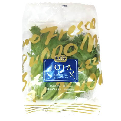 福井県産　低カリウムレタス