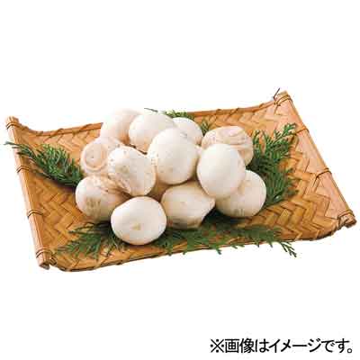 千葉県産など国内産 ホワイトマッシュルーム　1パック