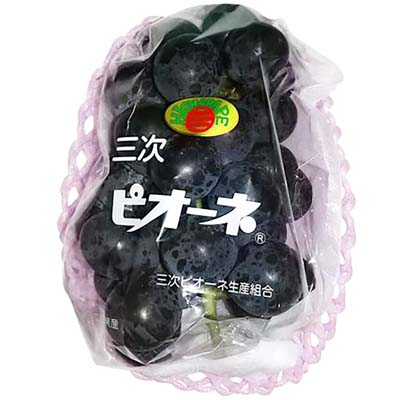 広島県産　三次ピオーネ　1房