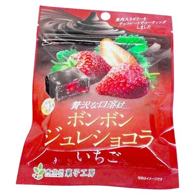 南信州菓子工房　ボンボン　ジュレショコラ　いちご　50ｇ