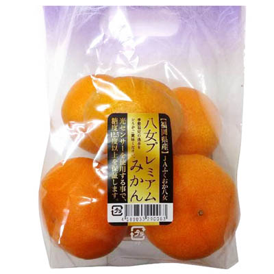 福岡県産　八女プレミアムみかん　約700ｇ入