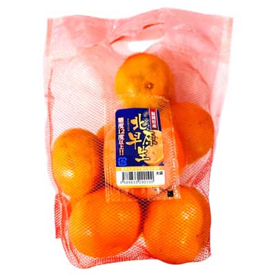 福岡県産　北原早生みかん　大袋　約1.2ｋｇ