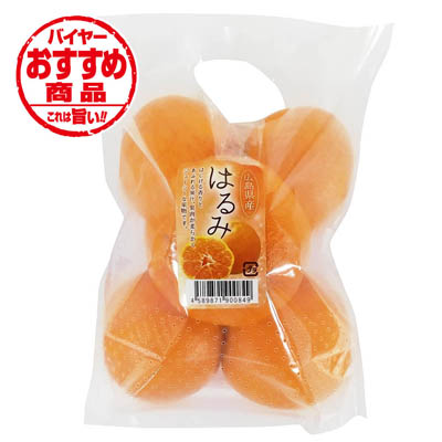 広島県産など国内産　はるみ　袋　約800ｇ入