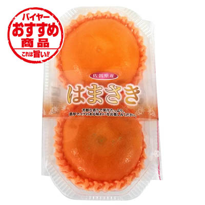 佐賀県産　はまさき　2玉入