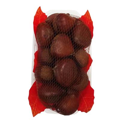 茨城県産など国内産　生栗　約500ｇ入