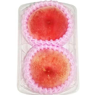 30ri(๑˃͈꒵˂͈๑)♪トリプルクラウン　1.2㌔クール便発送 Amazon | 共立 （KIORITZ） チェンソー オールラウンドソー 30cm