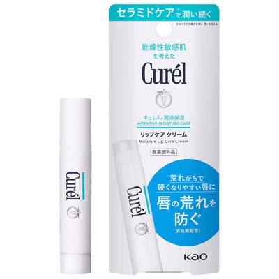 キュレル 潤浸保湿 リップケア クリーム 4.2g