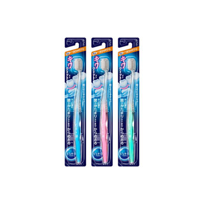 ピュオーラハブラシコンパクトふつう [＊色のご指定はできません]