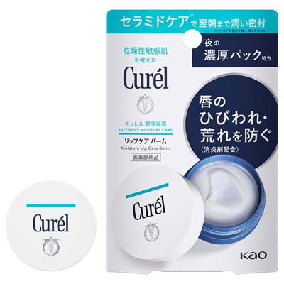 キュレル 潤浸保湿 リップケア バーム 4.2g