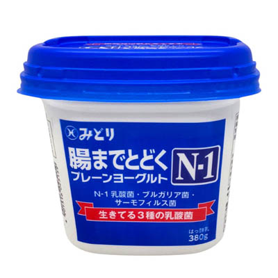 九州乳業 腸までとどくN-１プレーンヨーグルト　380ｇ