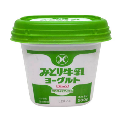 九州乳業　みどり牛乳ヨーグルト　500ｇ