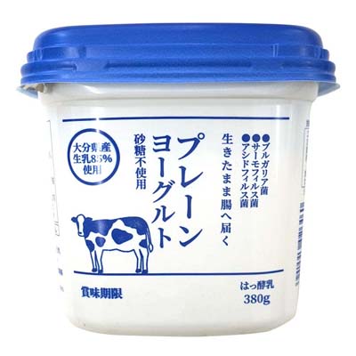 九州乳業　プレーンヨーグルト　３８０ｇ