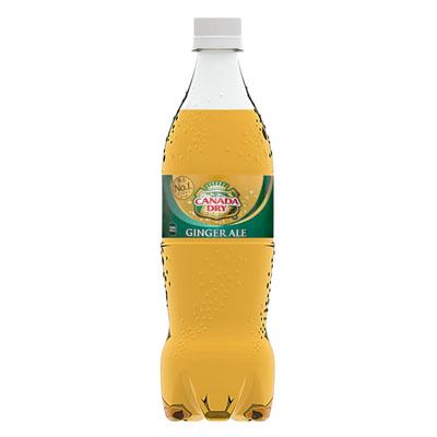 ジンジャーエール700ml