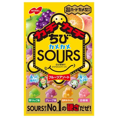 ノーベル カチカチちびカメカメサワーズグミ フルーツアソート 70g