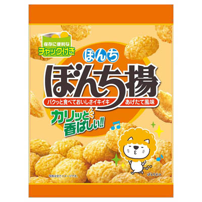 ぼんち　ぼんち揚　100ｇ