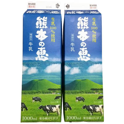 熊本の恵 2本袋