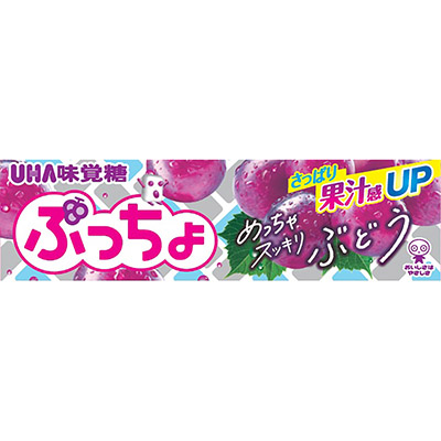 味覚糖 ぷっちょスティック めっちゃスッキリぶどう 10粒