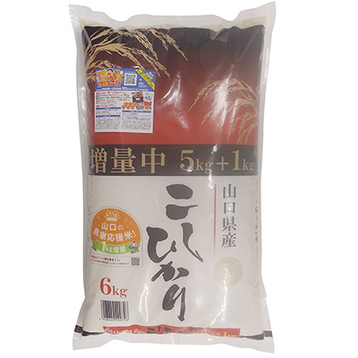 山口県産 こしひかり5kg+1kg