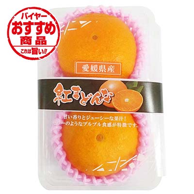 愛媛県産　　紅まどんな　2玉入