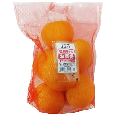 和歌山県産など国内産　理由ありはっさく　約1.5ｋｇ入