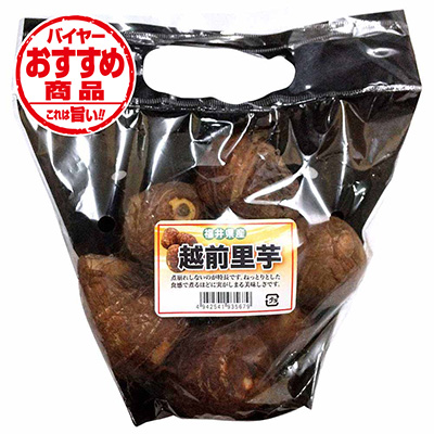 福井県産　越前里芋　約500ｇ入