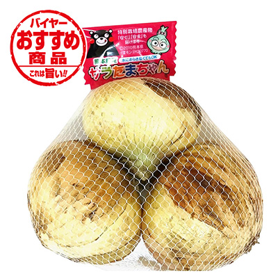 熊本県産（JAあしきた）　サラたまちゃん　3～4玉入