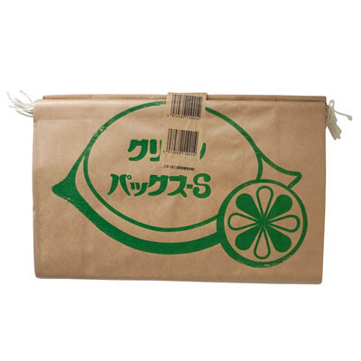 紙ゴミ袋大 10枚