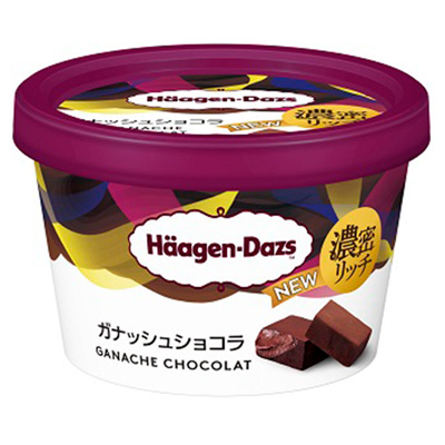 ハーゲンダッツ　ガナッシュショコラ　110ｍｌ