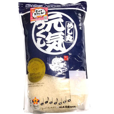 むらせ 福岡県産元気つくし2kg