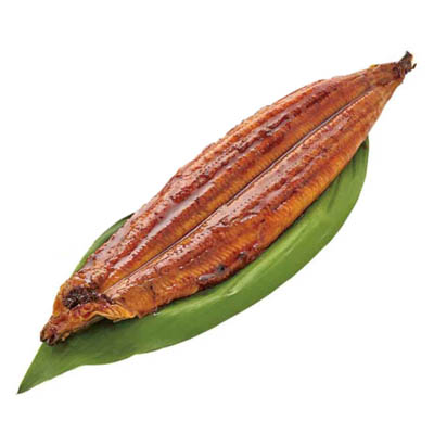 ☆九州産　うなぎ蒲焼