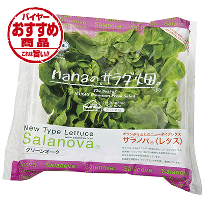 ☆島根県産 サラノバレタス（グリーンオーク）　1パック