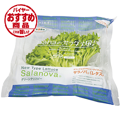 ☆島根県産 サラノバレタス（グリーンクリスピー）　1パック