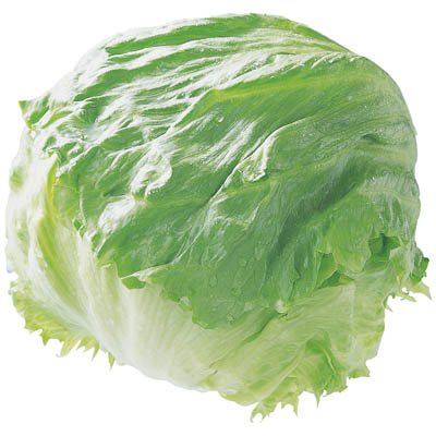 長崎県産など国内産 　レタス　１玉