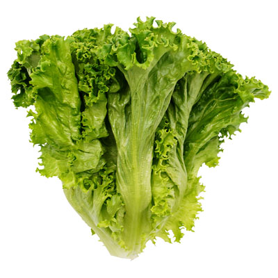 福岡県産など国内産    リーフレタス １束