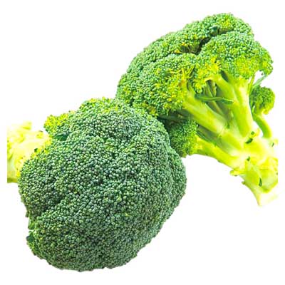 福岡県産など国内産　ブロッコリー　１株