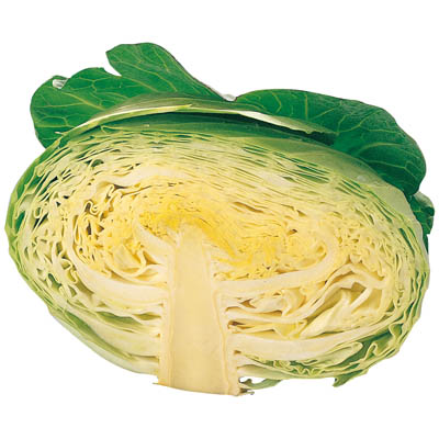 熊本県産など国内産　きゃべつ　1/2玉