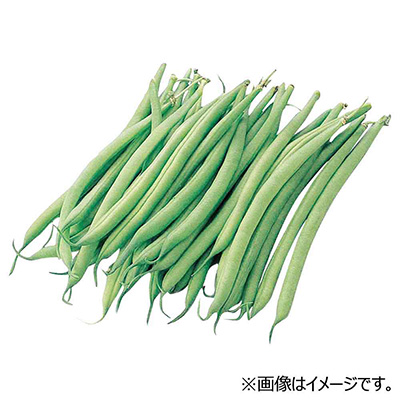 鹿児島県産など国内産 いんげん　１パック