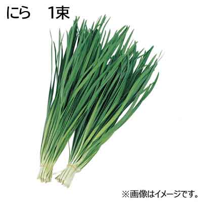 大分県産など国内産 にら 1束