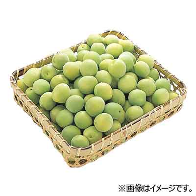 ☆福岡県産など国内産　青梅　約1㎏入