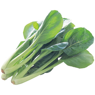 福岡県産など国内産　小松菜　１束