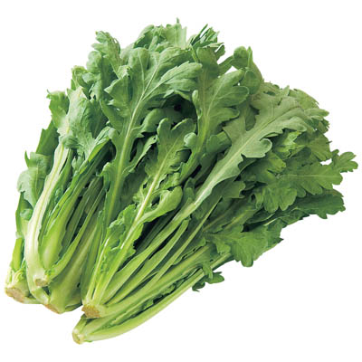 福岡県産など国内産 　春菊　１束