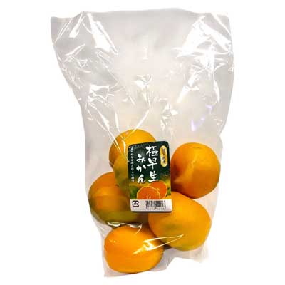 佐賀県産など国内産　極早生みかん　１袋