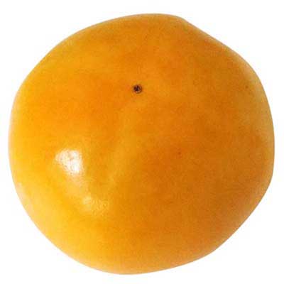 福岡県産など国内産　富有柿　１玉