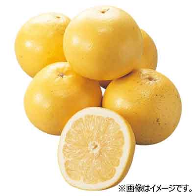 南アフリカ産など国外産　グレープフルーツ（ホワイト）1玉