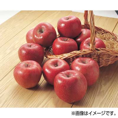 青森県産など国内産　りんご（ふじ） １玉