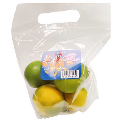 福岡県産などの国内産　太陽の恵みかん　約500ｇ