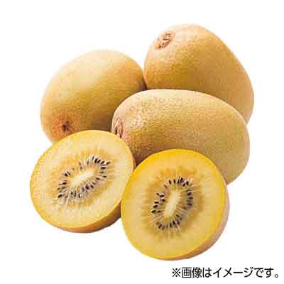 ニュージーランド産　サンゴールドキウイ　１玉