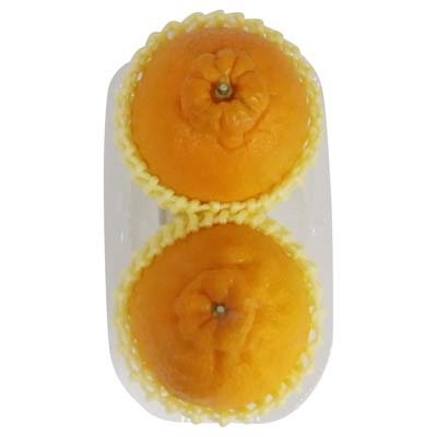 佐賀県産など国内産　デコポン　2個入　1パック