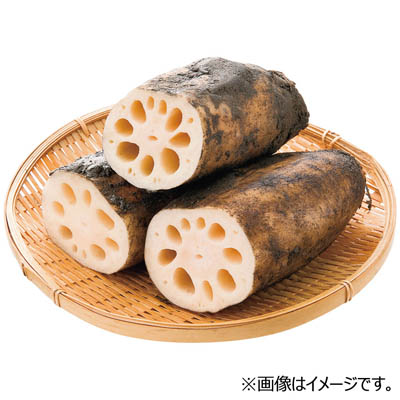 【グラム売】佐賀県産など　土付きれんこん（はす）　約200ｇ