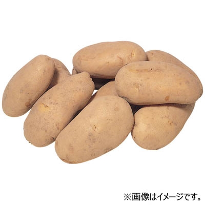 【グラム売】鹿児島県産　新じゃがいも（ゴールド）　約700ｇ